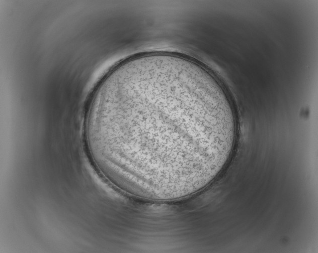 X0000113021416200909171442