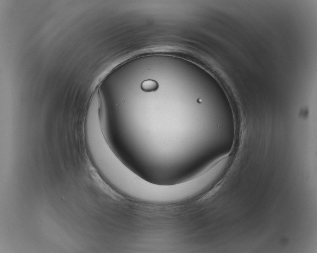 X0000113021417200909171442