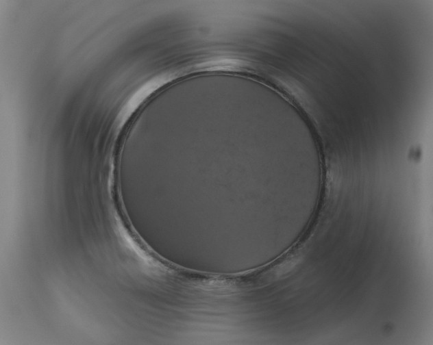 X0000113021418200909171442