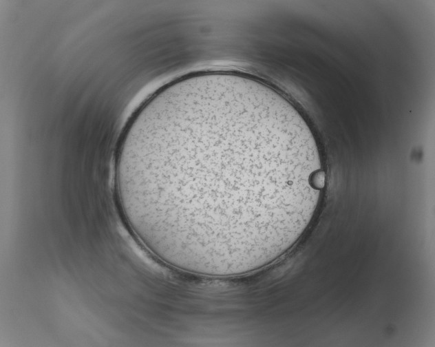 X0000113021420200909171442