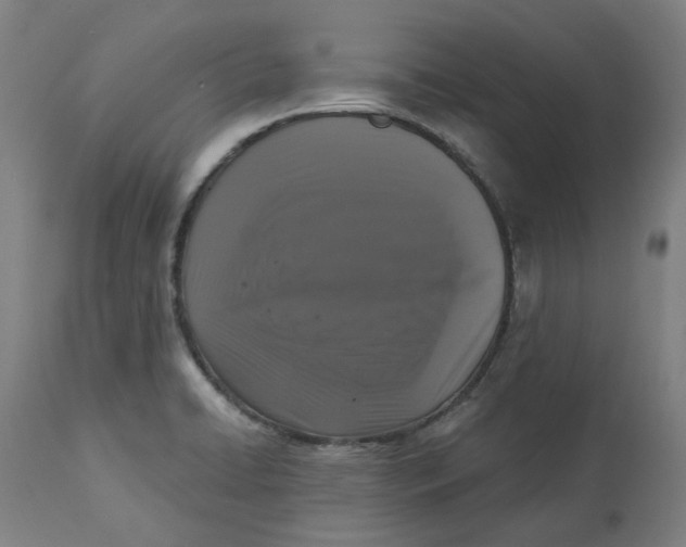 X0000113021422200909171442