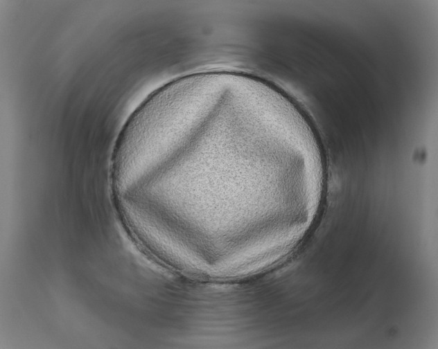 X0000113021423200909171443