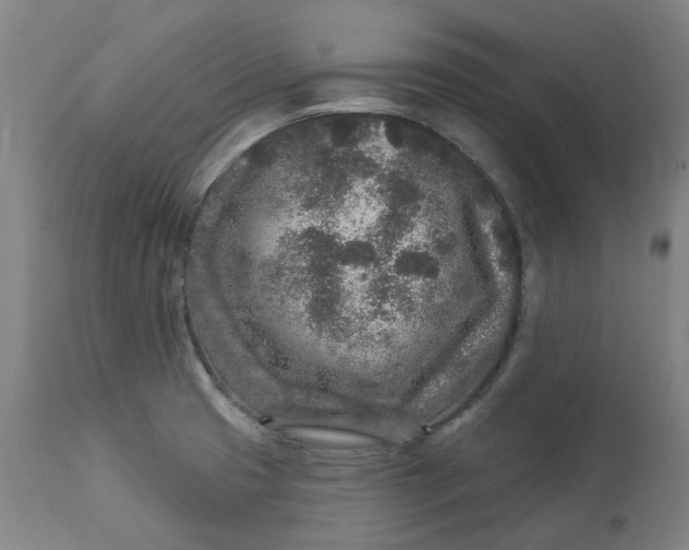 X0000113021425200909171443