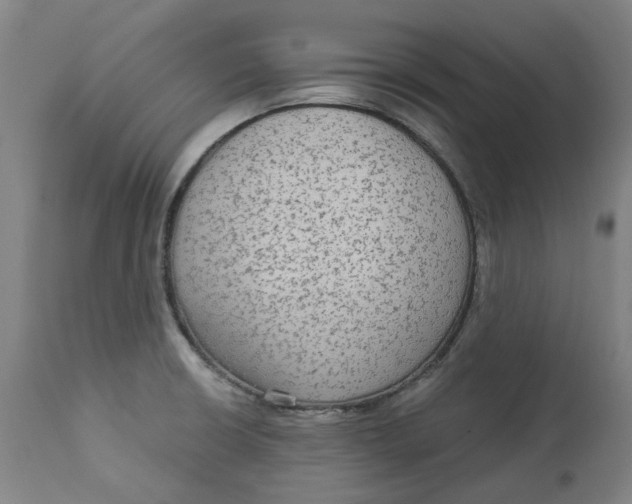 X0000113021426200909171443