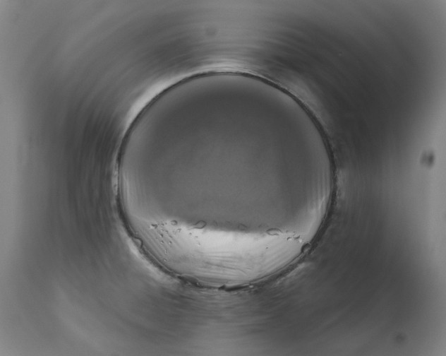 X0000113021428200909171443