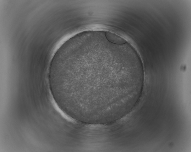 X0000113021429200909171443