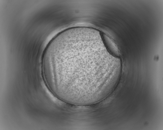 X0000113021430200909171443