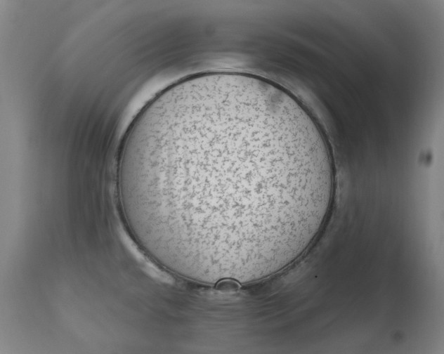 X0000113021432200909171443