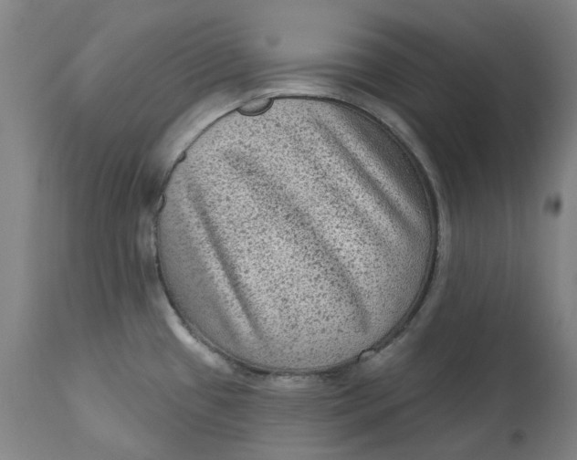 X0000113021433200909171443