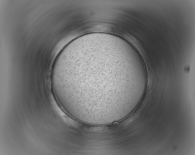 X0000113021434200909171443