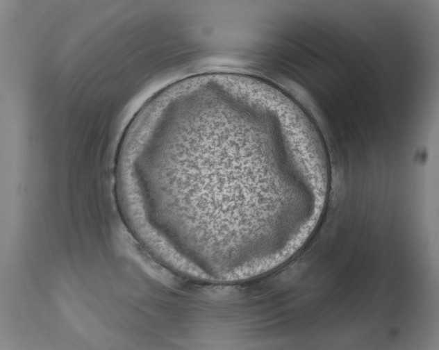 X0000113021435200909171443