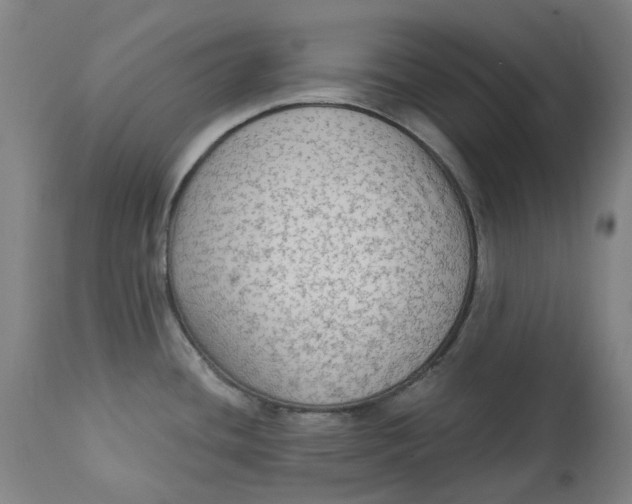 X0000113021436200909171443