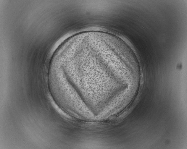 X0000113021438200909171443