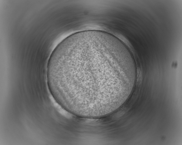 X0000113021439200909171443