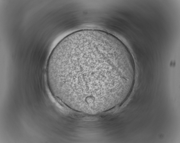 X0000113021440200909171443