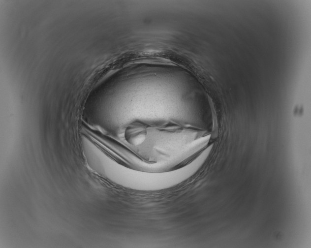 X0000113021441200909171442