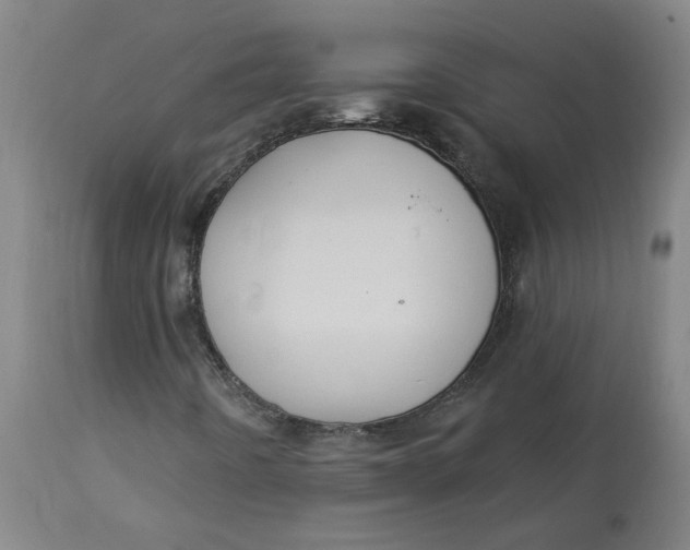 X0000113021442200909171442