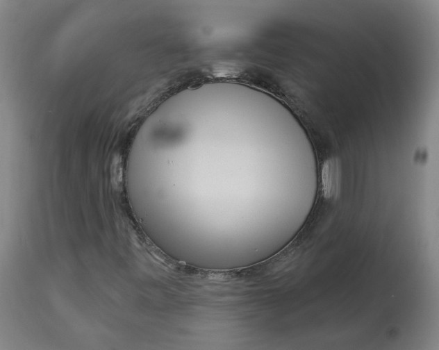 X0000113021443200909171442