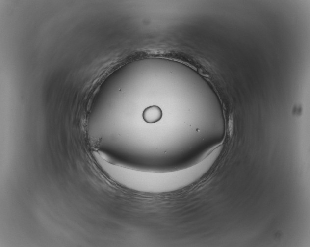 X0000113021444200909171442