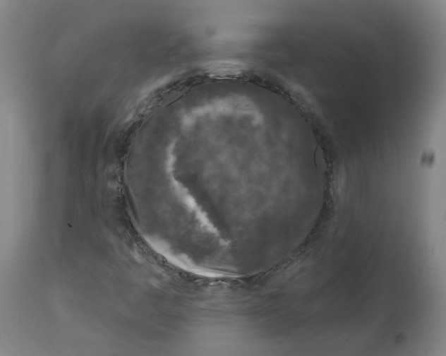 X0000113021445200909171442