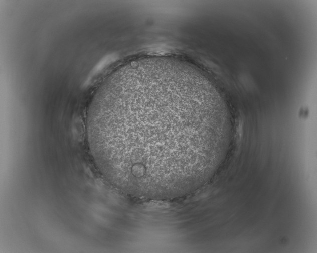 X0000113021446200909171442