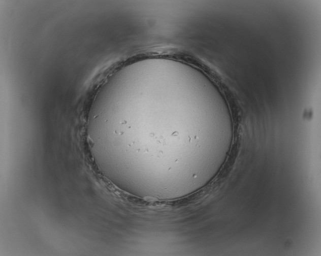 X0000113021447200909171442