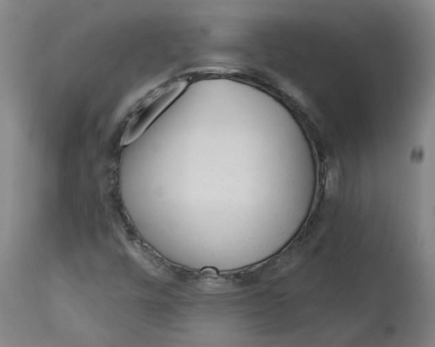 X0000113021448200909171442