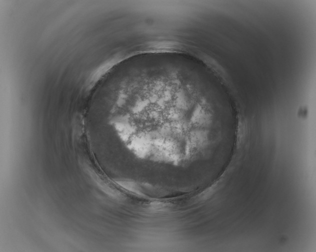 X0000113021449200909171442