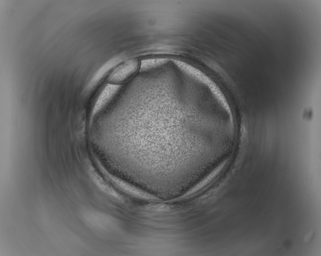 X0000113021450200909171442