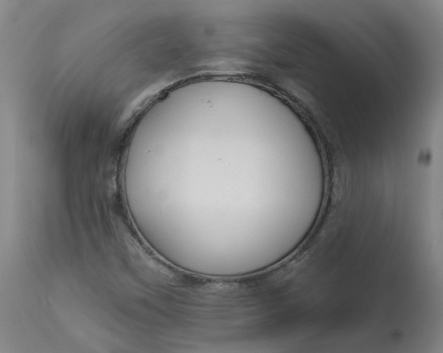 X0000113021451200909171442