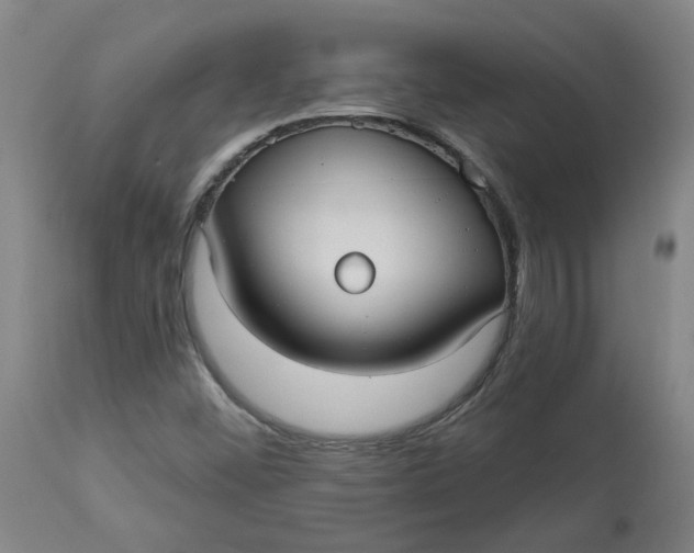 X0000113021452200909171442