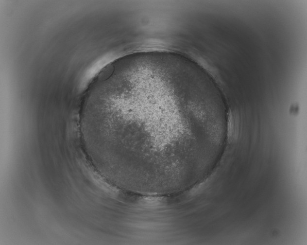 X0000113021453200909171442