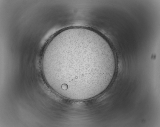 X0000113021454200909171442