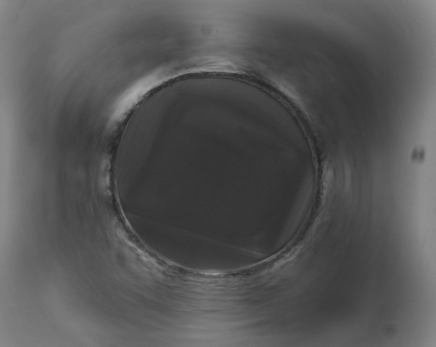 X0000113021455200909171442