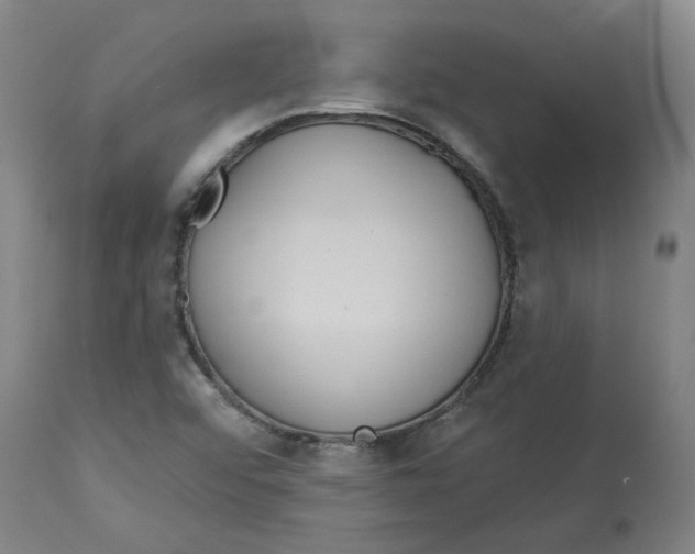 X0000113021456200909171442