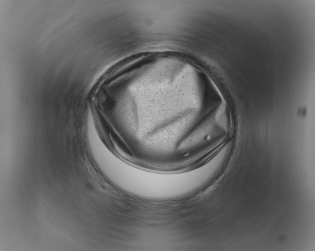 X0000113021457200909171442