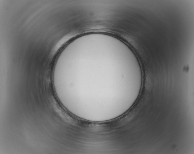 X0000113021458200909171442