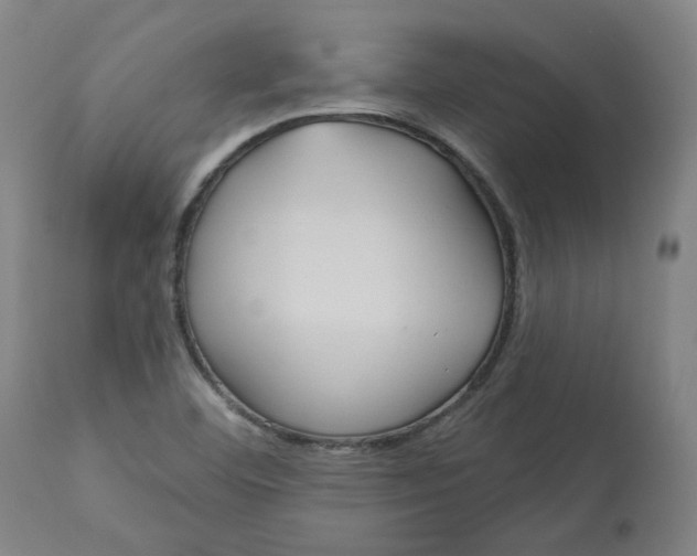 X0000113021460200909171442