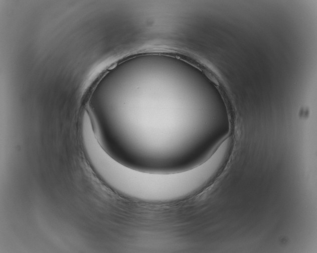 X0000113021461200909171442