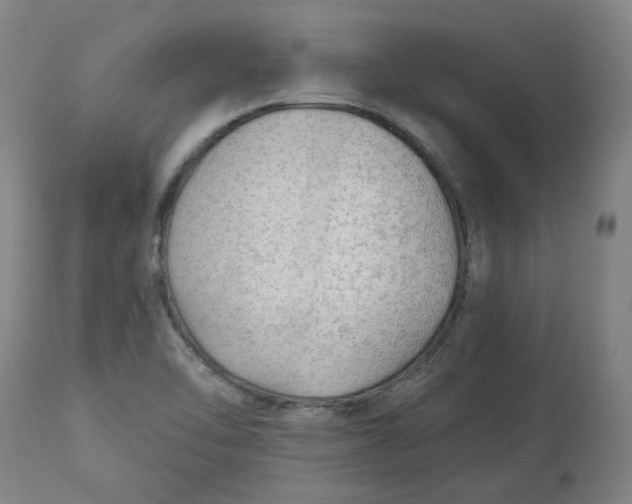 X0000113021462200909171442