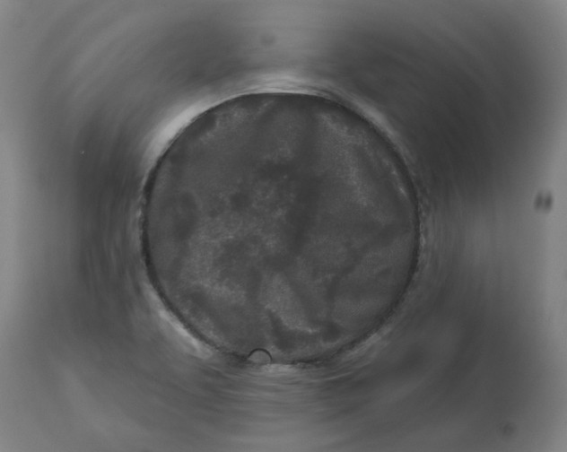 X0000113021463200909171442