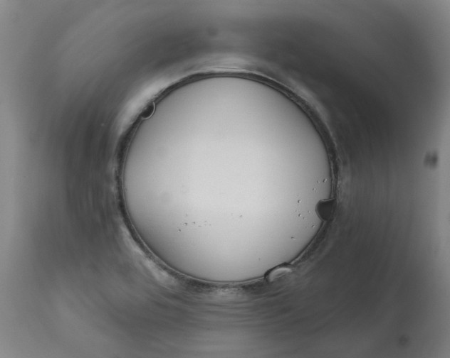 X0000113021464200909171442