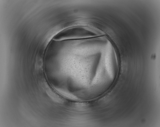 X0000113021465200909171442