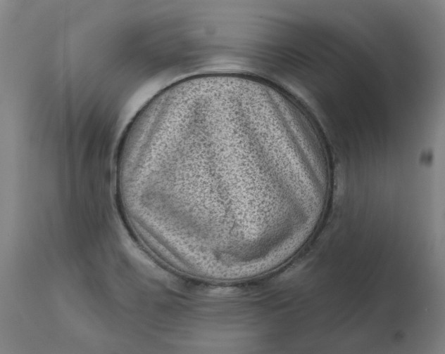 X0000113021467200909171442