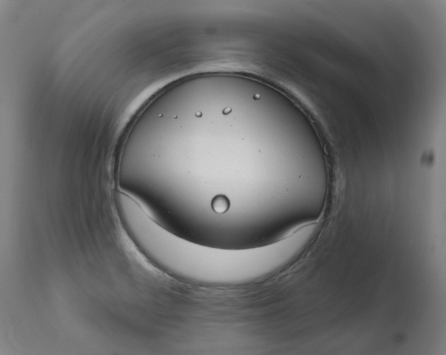 X0000113021468200909171442