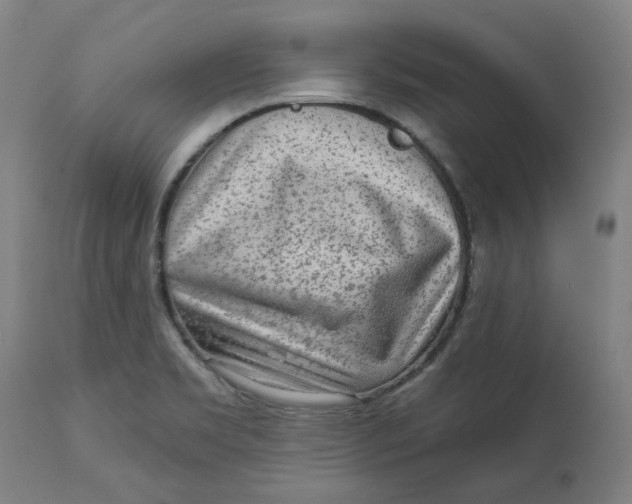 X0000113021469200909171442