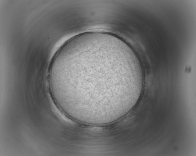 X0000113021470200909171442