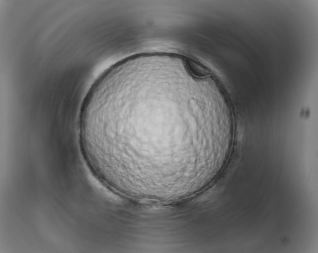 X0000113021471200909171442