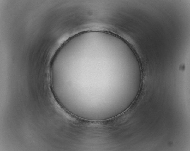 X0000113021472200909171442