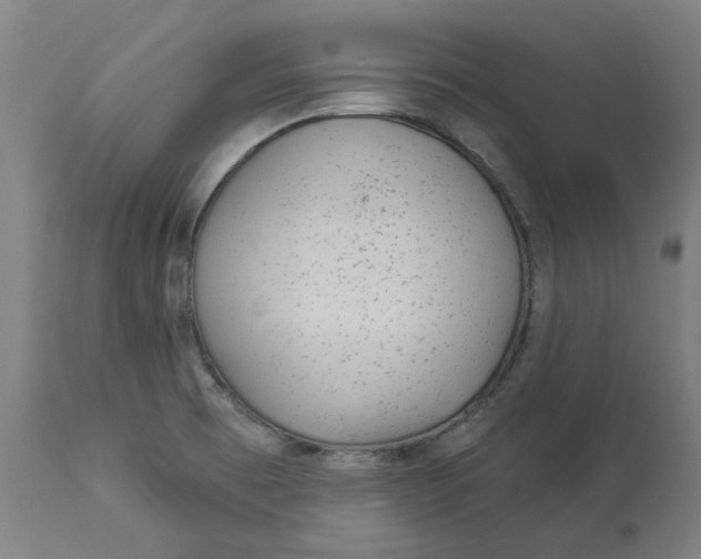 X0000113021473200909171442